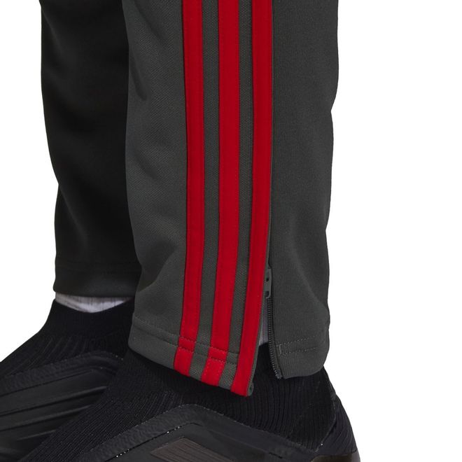 Afbeelding van FC Bayern München Presentatie Pak