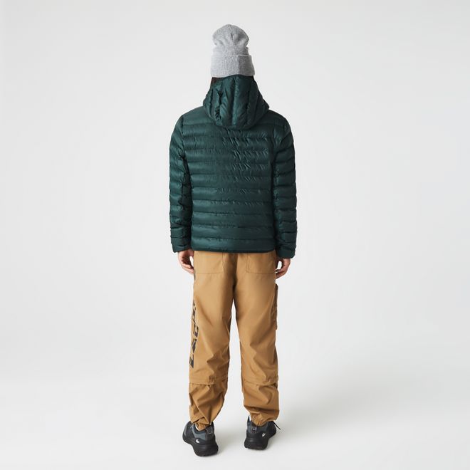 Afbeelding van Lacoste kort jack heren gewatteerd met capuchon Groen