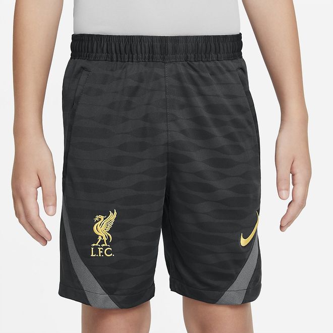 Afbeelding van Liverpool FC Strike Zomerset Kids Wolf Grey