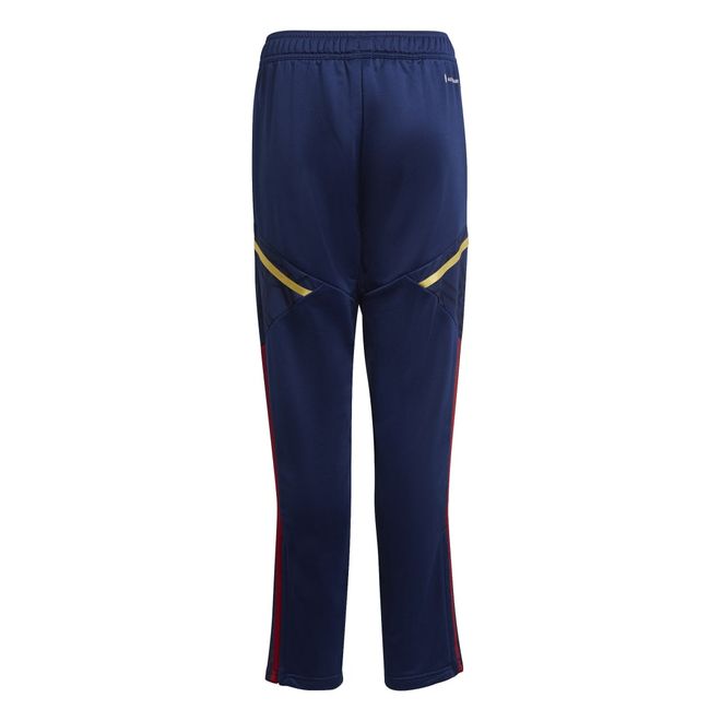 Afbeelding van Ajax Amsterdam Condivo 22 Trainingsset Kids Team Victory Red