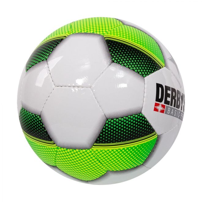 Afbeelding van Derbystar Futsal Basic Pro TT