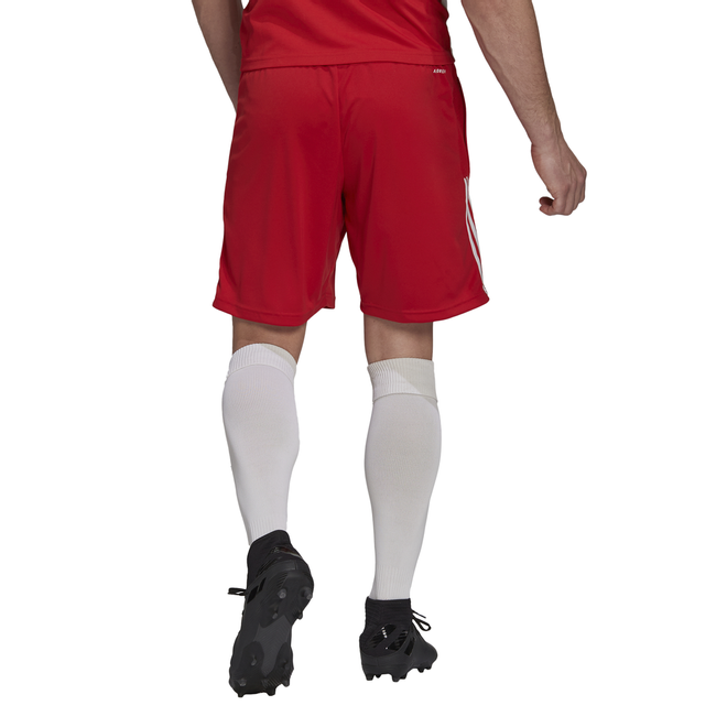 Afbeelding van Ajax Zomerset Tmcord
