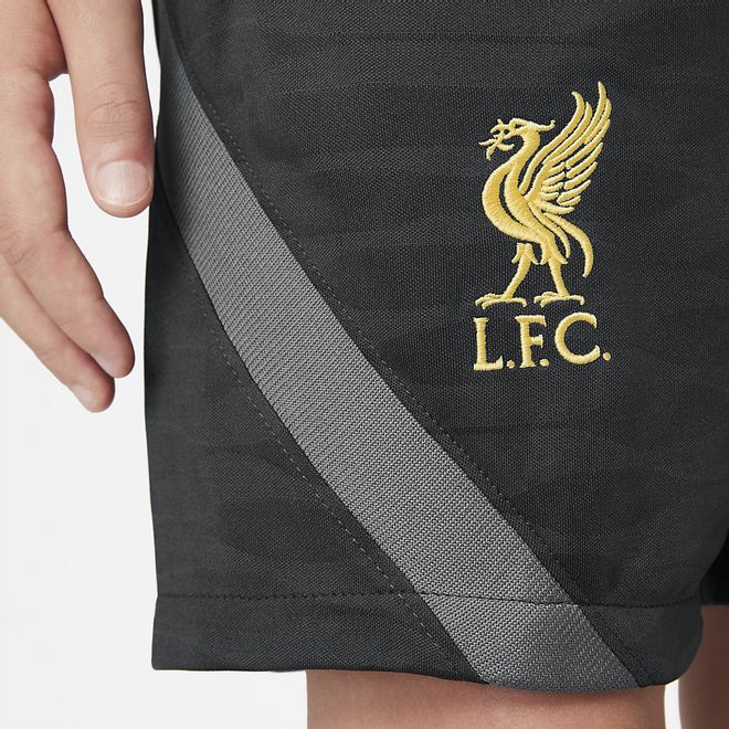 Afbeelding van Liverpool FC Strike Zomerset Kids Wolf Grey