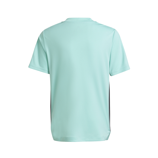 Afbeelding van Arsenal FC Zomerset Kids Acimin