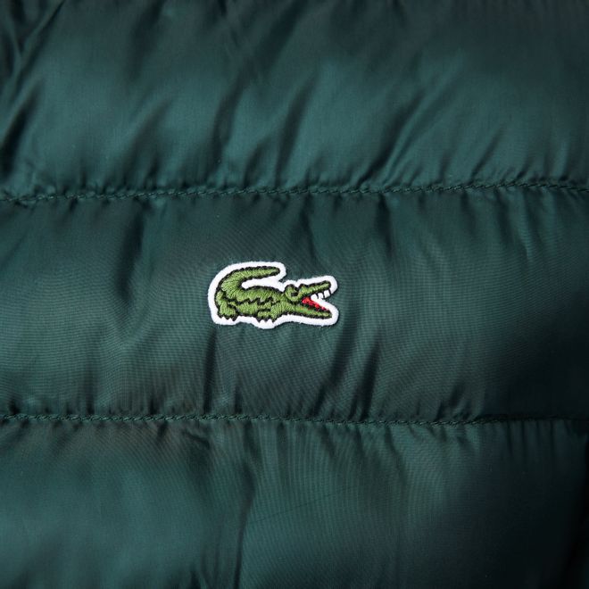 Afbeelding van Lacoste kort jack heren gewatteerd met capuchon Groen