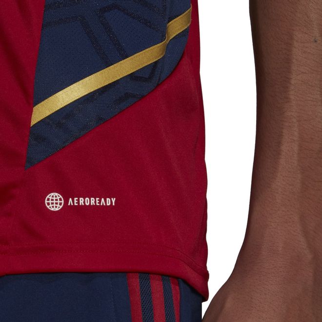 Afbeelding van Ajax Amsterdam Condivo 22 Training Zomerset Team Victory Red