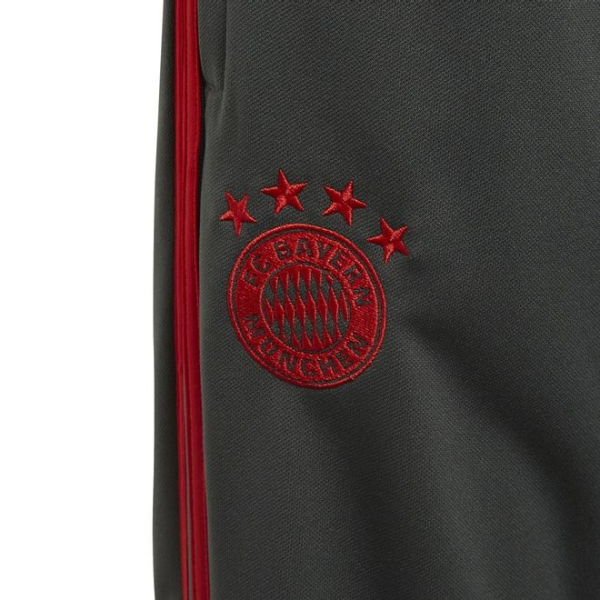 Afbeelding van FC Bayern München Presentatie Pak Kids