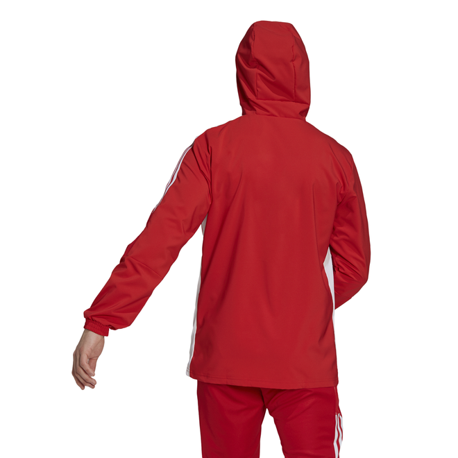Afbeelding van Ajax Presentatiepak Hooded Tmcord