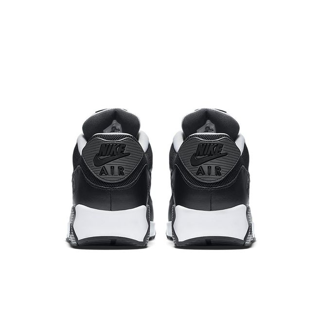Afbeelding van Nike Air Max 90 Essential