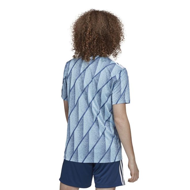 Afbeelding van Ajax Shirt Uit Icey Blue