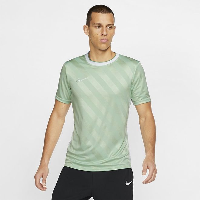Afbeelding van Nike Dry Academy Top SS Pistachio Frost