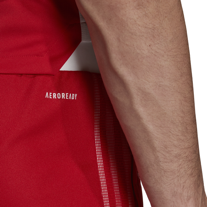 Afbeelding van Ajax Presentatiepak Hooded Tmcord