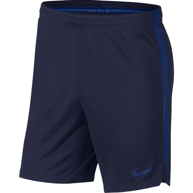 Afbeelding van Nike Dri-FIT Squad Short Blauw