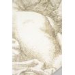 Afbeelding van Zuiver Carpet Amor '240