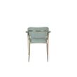Afbeelding van White Label Living Armchair Jolien Gold/Light Green