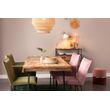 Afbeelding van White Label Living Armchair Dion Velvet Pink