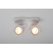Afbeelding van Zuiver Dice-2 DTW Spot Light Wit