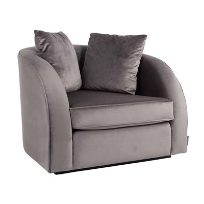 Richmond Interiors Fauteuil Darwin met 2 kussens Stone Velvet (Quartz Stone 101) Richmond Interiors Fauteuil Darwin met 2 kussens Stone Velvet (Quartz Stone 101)