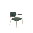 Afbeelding van White Label Living Lounge Chair Jolien Arm Gold/Dark Green