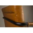 Afbeelding van Dutchbone Stitched Armstoel Cognac