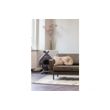 Afbeelding van BePureHome Rodeo Daybed Links Army