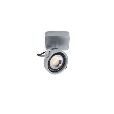Zuiver Dice-1 DTW Spot Light Gegalvaniseerd Zuiver Dice-1 DTW Spot Light Gegalvaniseerd