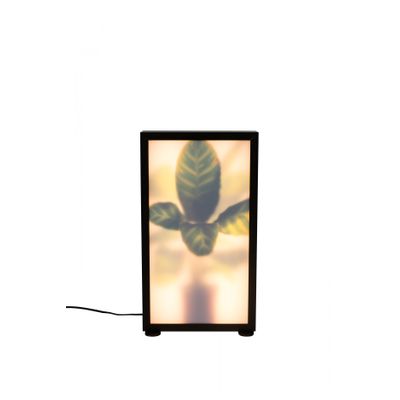 Zuiver Grow Vloerlamp M Zuiver Grow Vloerlamp M
