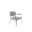 Afbeelding van White Label Living Lounge Chair Jolien Arm Gold/Light Green
