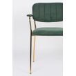 Afbeelding van White Label Living Armchair Jolien Gold/Dark Green
