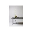 Afbeelding van Woood Exclusive Silas Eettafel Zwart