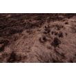 Afbeelding van BePureHome Praline Vloerkleed Coffee - 200 CM