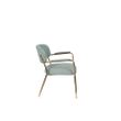 Afbeelding van White Label Living Lounge Chair Jolien Arm Gold/Light Green