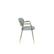 Afbeelding van White Label Living Armchair Jolien Gold/Light Green