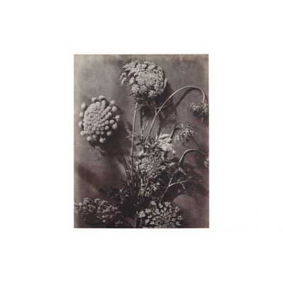 BePureHome Artwork Bloemstudie 21 Grijs/beige BePureHome Artwork Bloemstudie 21 Grijs/beige