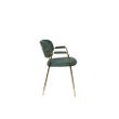 Afbeelding van White Label Living Armchair Jolien Gold/Dark Green