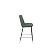 Afbeelding van White Label Living Counter Stool Lionel Dark Green