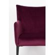 Afbeelding van White Label Living Armchair Dion Velvet Wine