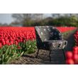 Afbeelding van BePureHome Vogue Fauteuil Rococo Aloë