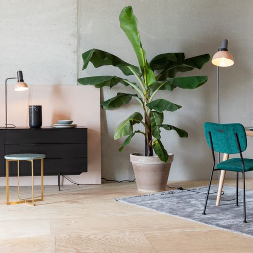 Zuiver - Inspiratie