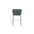 Afbeelding van White Label Living Counter Stool Jolien Gold/Dark Green