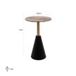 Afbeelding van Richmond Interiors Bijzettafel Cobra 29Ø (Zwart/goud)
