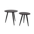 Afbeelding van White Label Living Side Table Daven Black Set Of 2