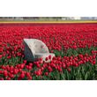 Afbeelding van BePureHome Vogue Fauteuil Rococo Agave