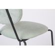 Afbeelding van White Label Living Chair Aspen Light Green