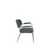 Afbeelding van White Label Living Lounge Chair Jolien Arm Gold/Dark Green