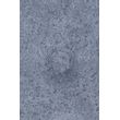 Afbeelding van Zuiver Mist Eetkamerstoel Grijs Blauw