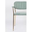 Afbeelding van White Label Living Armchair Jolien Gold/Light Green