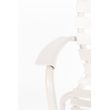 Afbeelding van Zuiver Vondel Garden Armstoel Clay