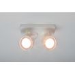 Afbeelding van Zuiver Dice-2 DTW Spot Light Wit