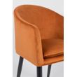 Afbeelding van White Label Living Armchair Catelyn Orange